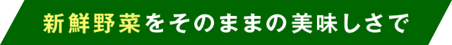 新鮮野菜をそのままの美味しさで